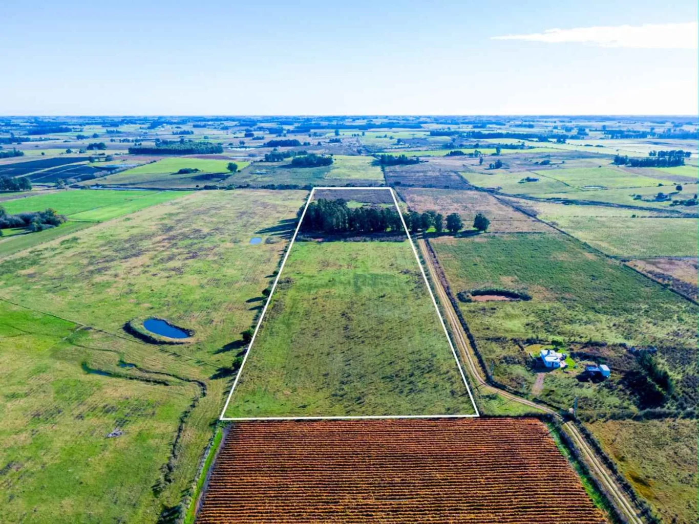 Campo en San Jacinto, propiedad 295645 -Imagen 4