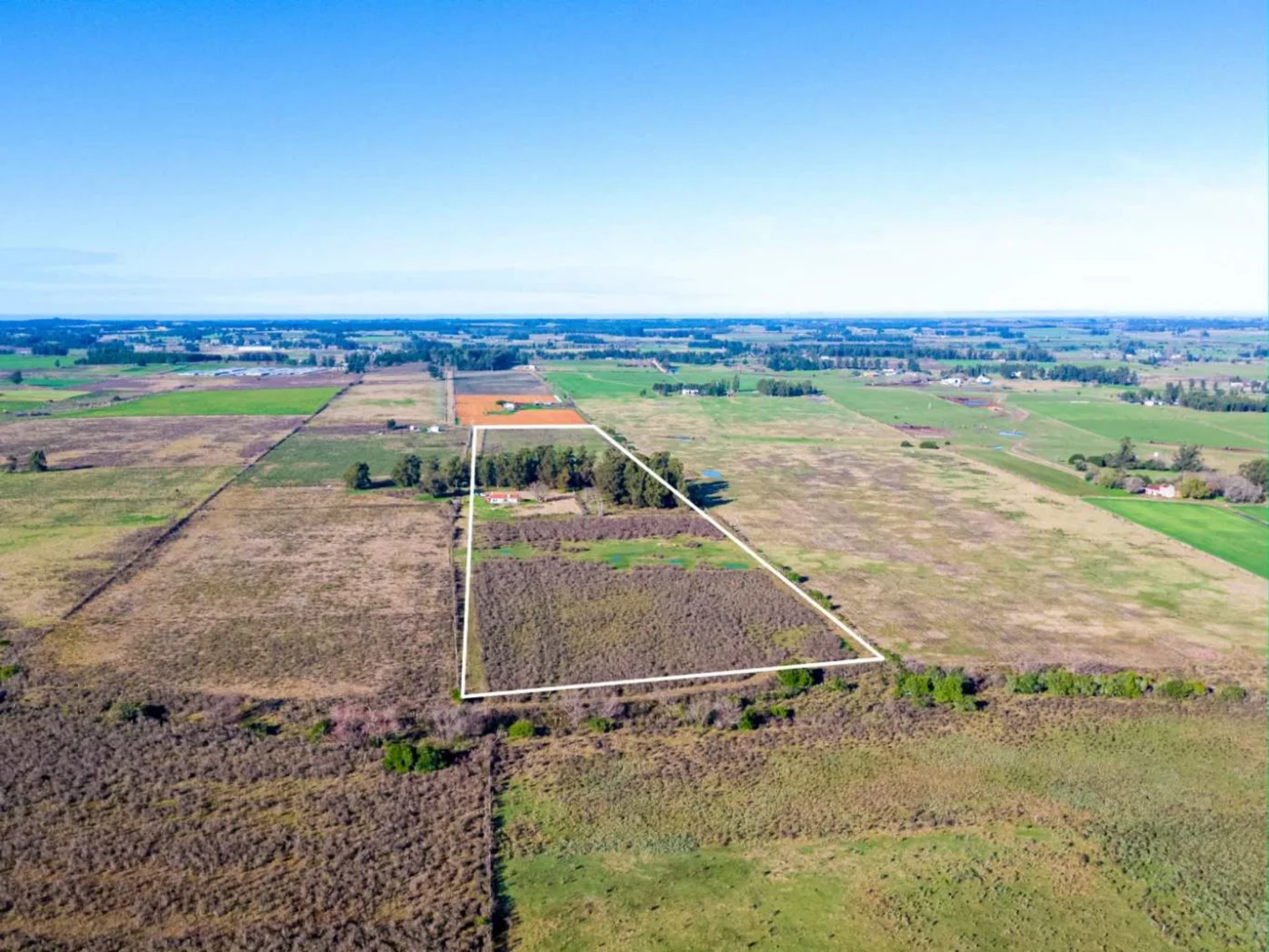 Campo en San Jacinto, propiedad 295645 -Imagen 2