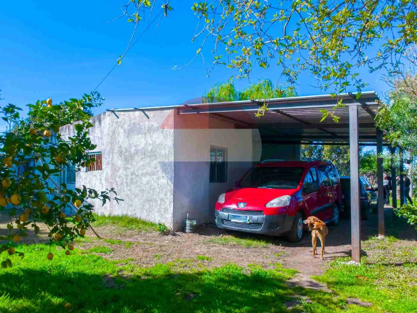 Terreno en Pando, propiedad 298665 -Imagen 6