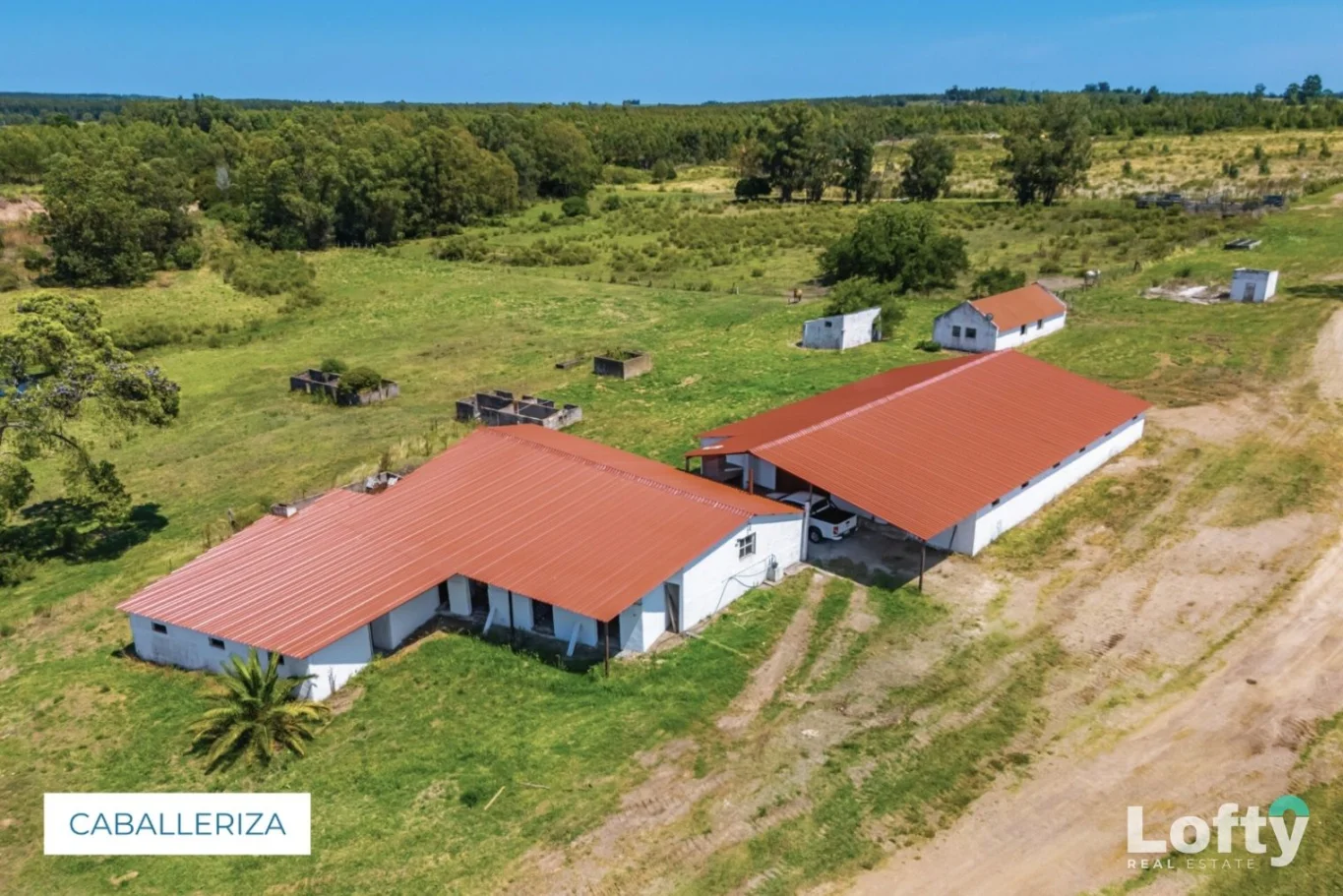 Campo en Capilla de Cella, propiedad 259656 -Imagen 14