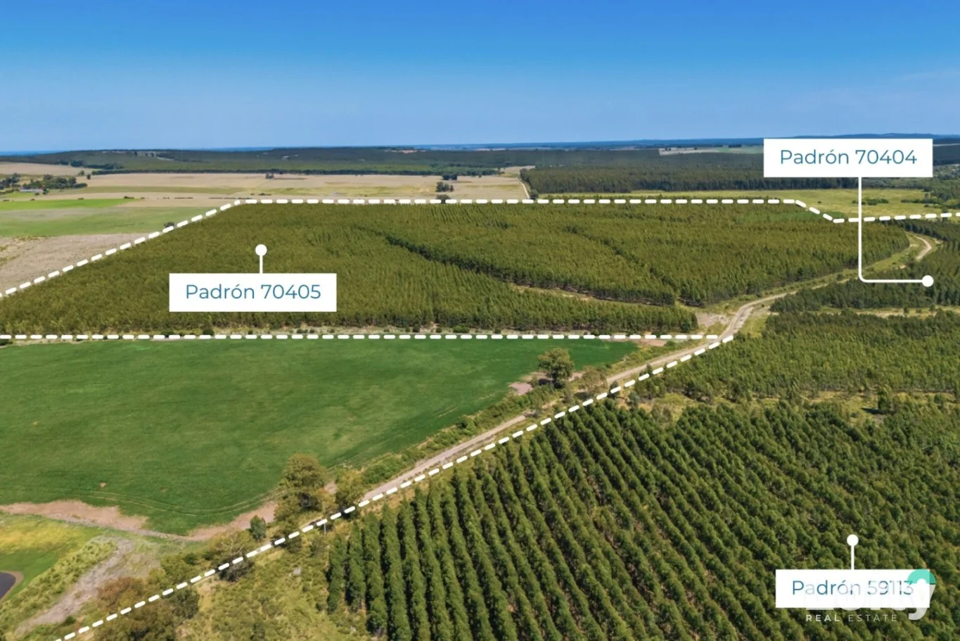 Campo en Capilla de Cella, propiedad 259656 -Imagen 20