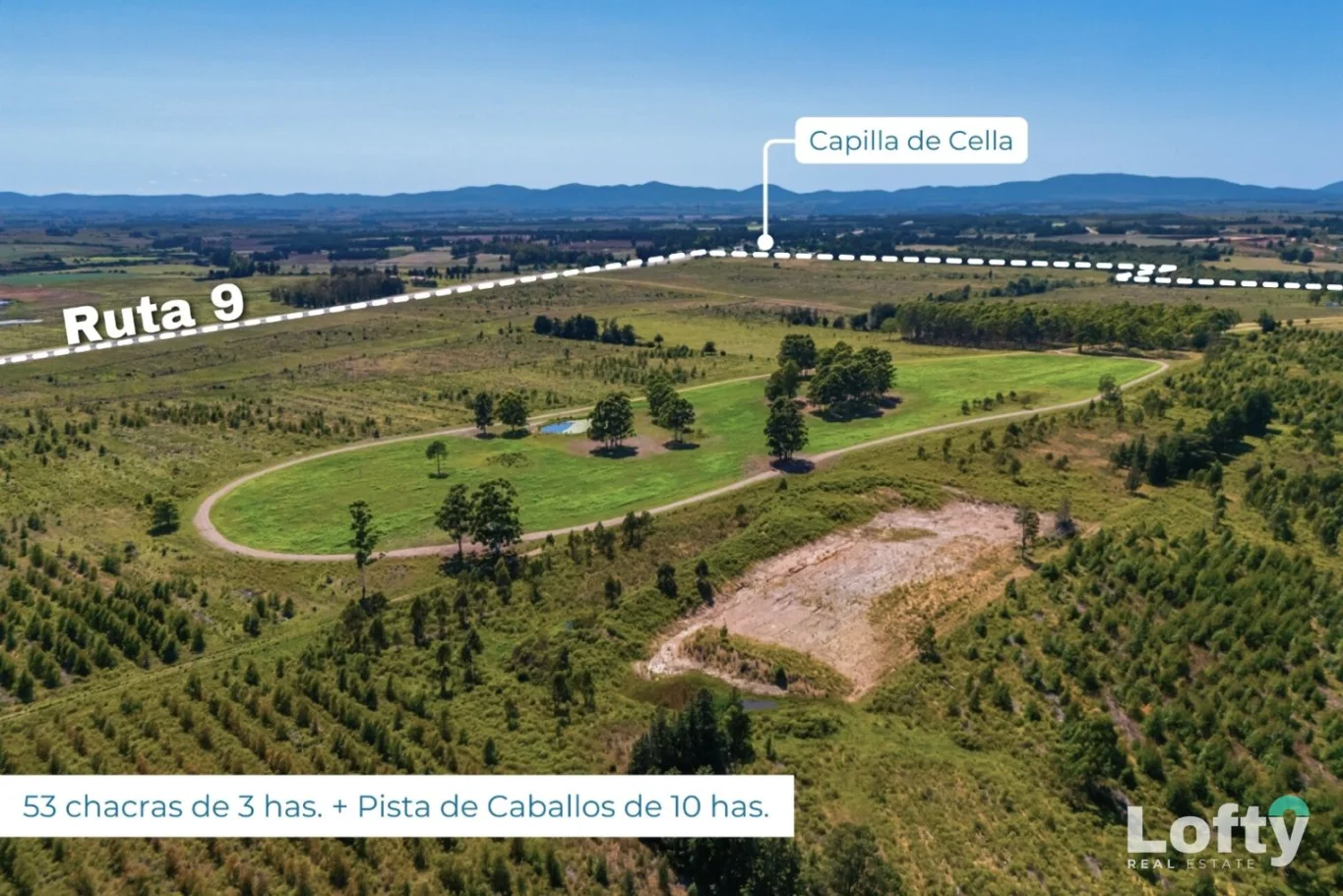 Campo en Capilla de Cella, propiedad 273984 -Imagen 18
