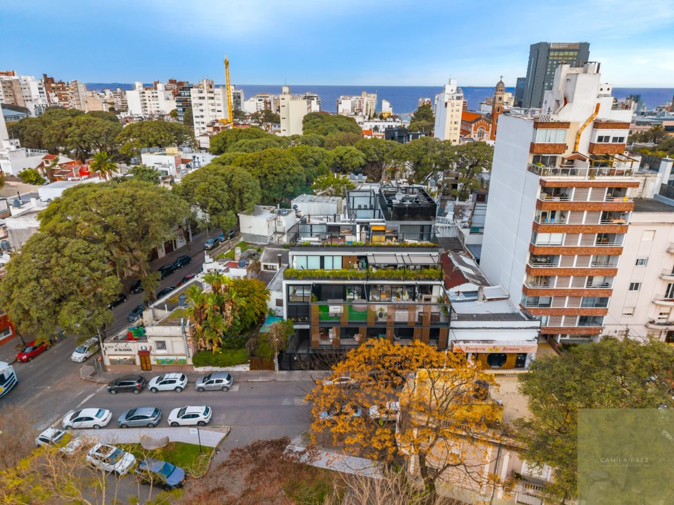 Apartamento en Punta Carretas, propiedad 291792 -Imagen 14