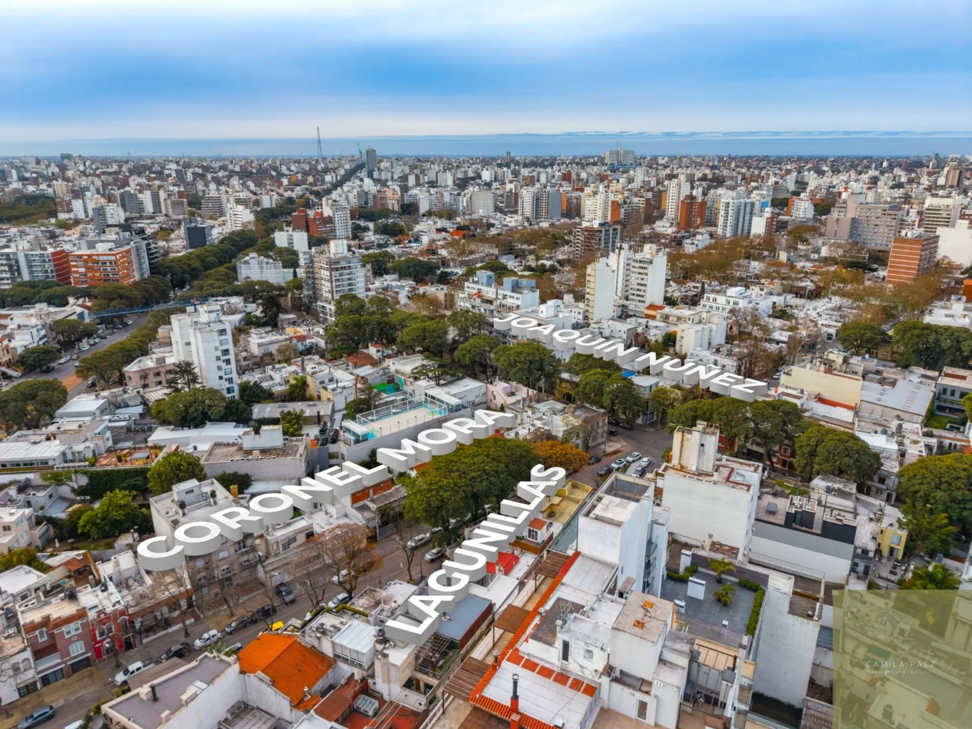 Apartamento en Punta Carretas, propiedad 291792 -Imagen 15