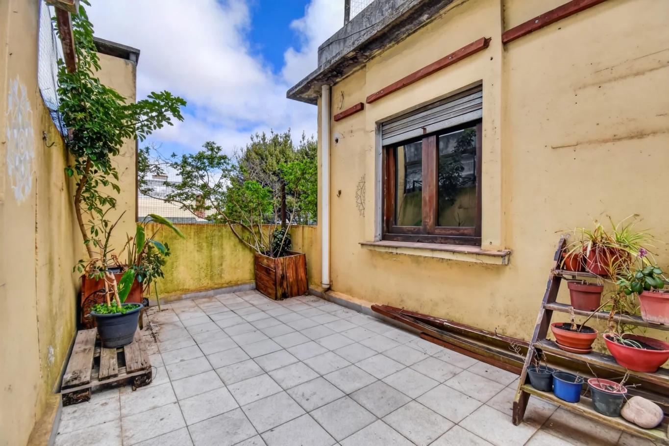 Casa en Reducto, propiedad 301170 -Imagen 23