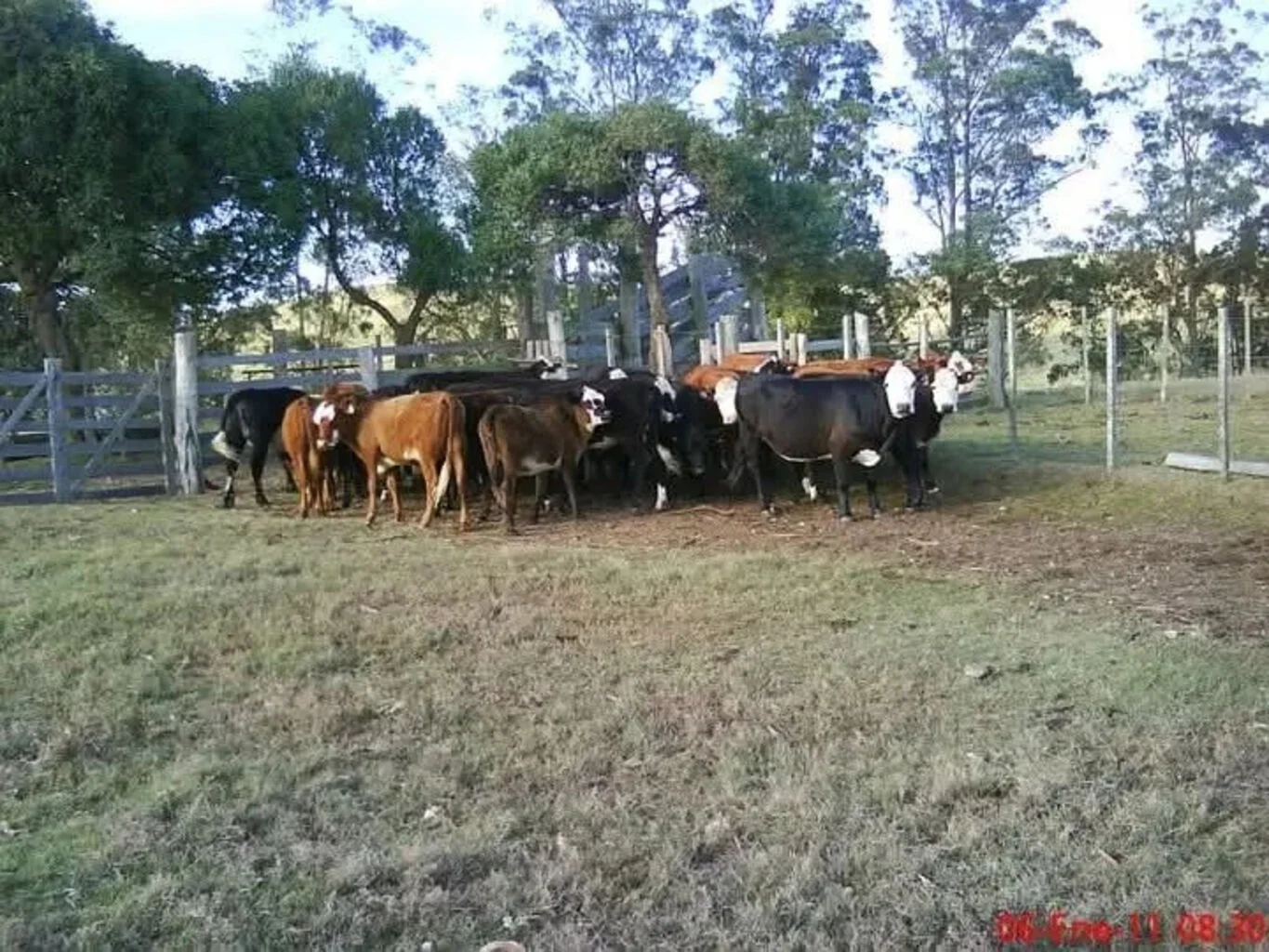 Campo en Castillos, propiedad 263093 -Imagen 1