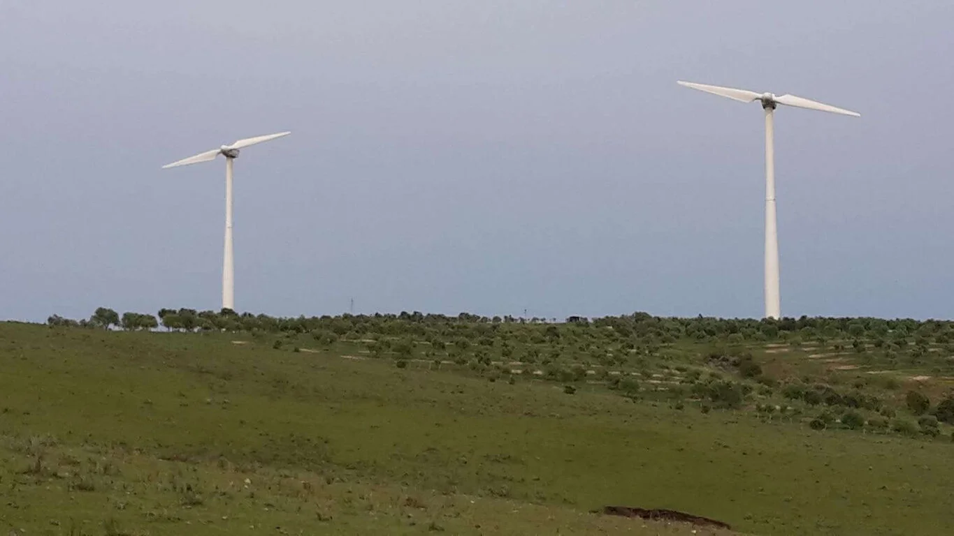 Campo en Castillos, propiedad 263093 -Imagen 2