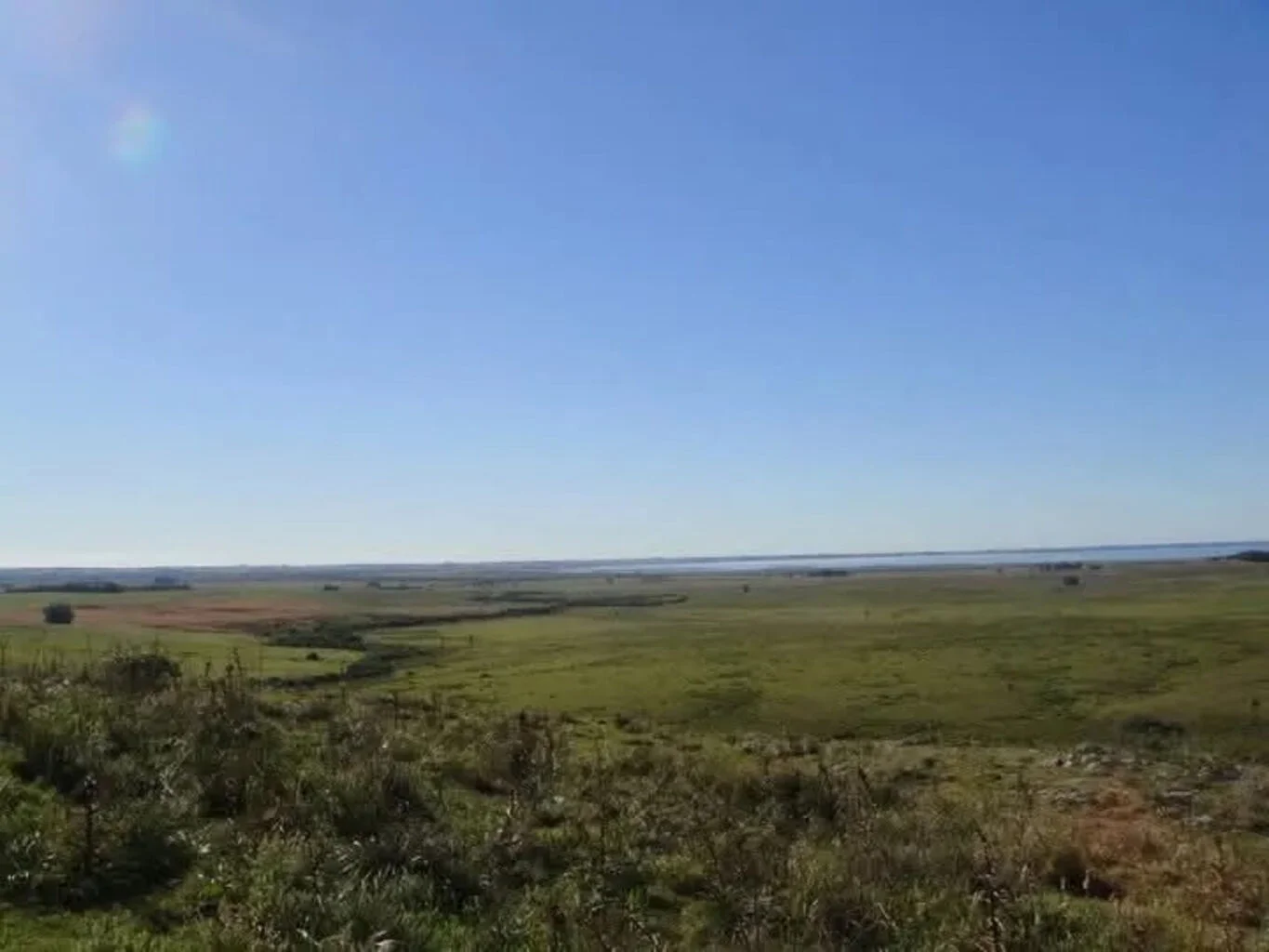 Campo en Castillos, propiedad 263093 -Imagen 11