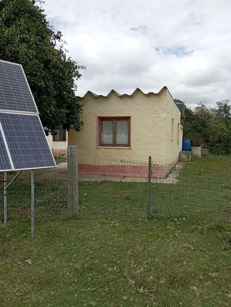 Campo en Castillos, propiedad 263093 -Imagen 13