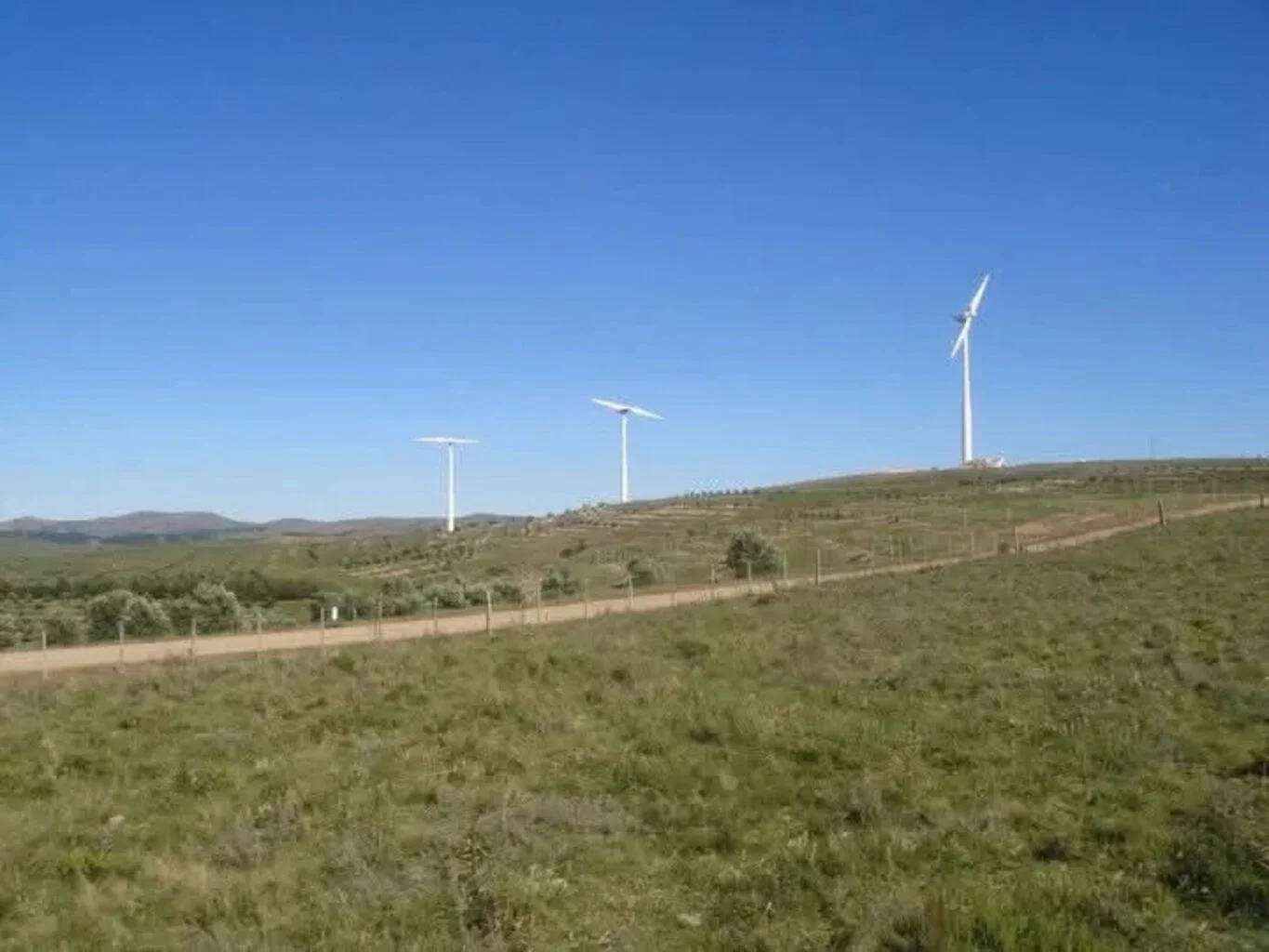 Campo en Castillos, propiedad 263093 -Imagen 14