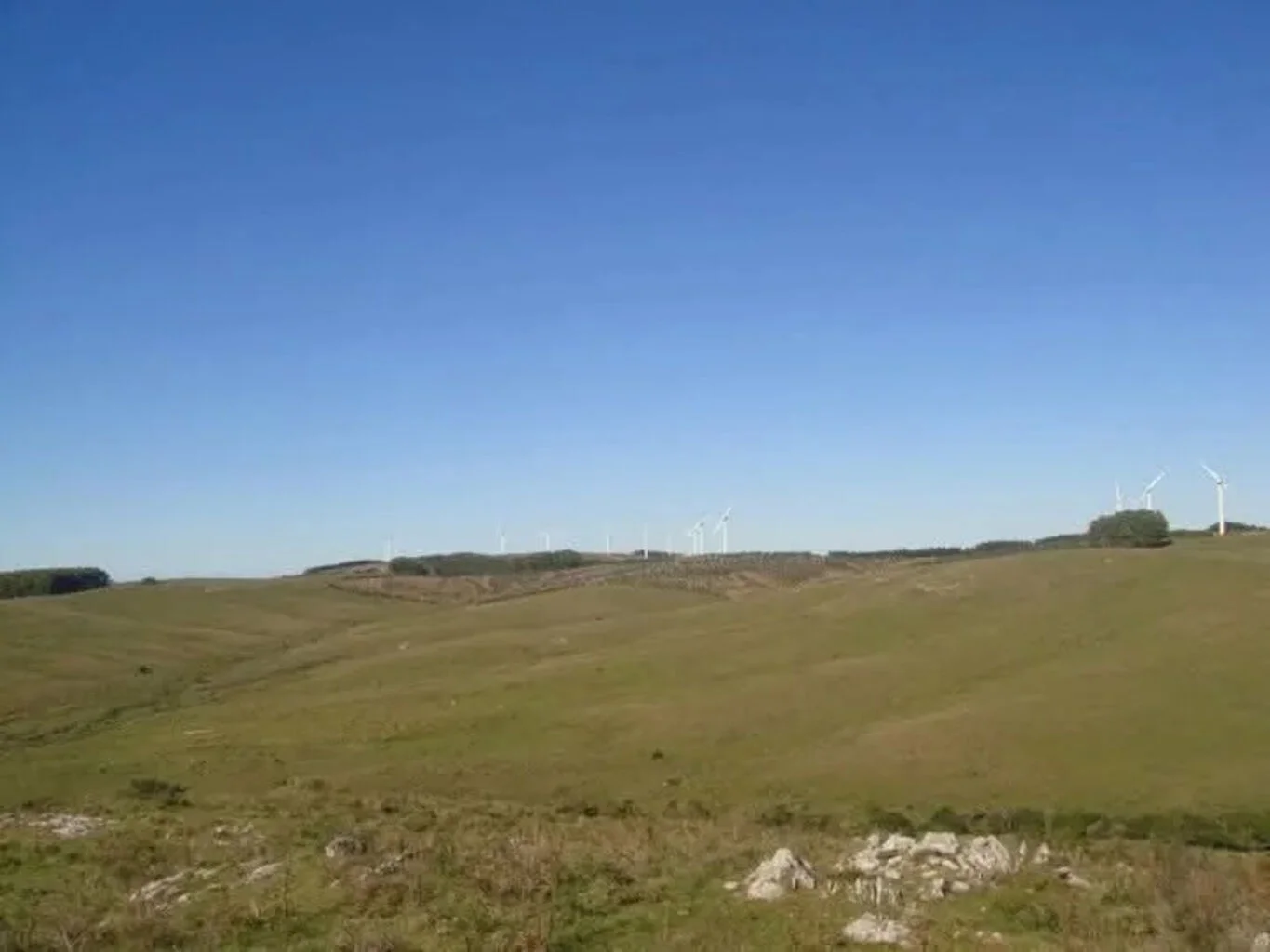 Campo en Castillos, propiedad 263093 -Imagen 15