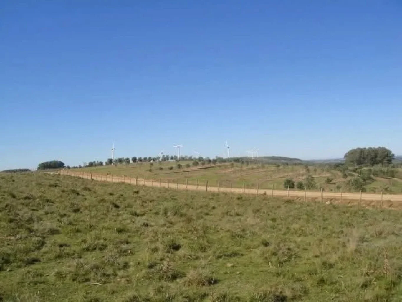 Campo en Castillos, propiedad 263093 -Imagen 16