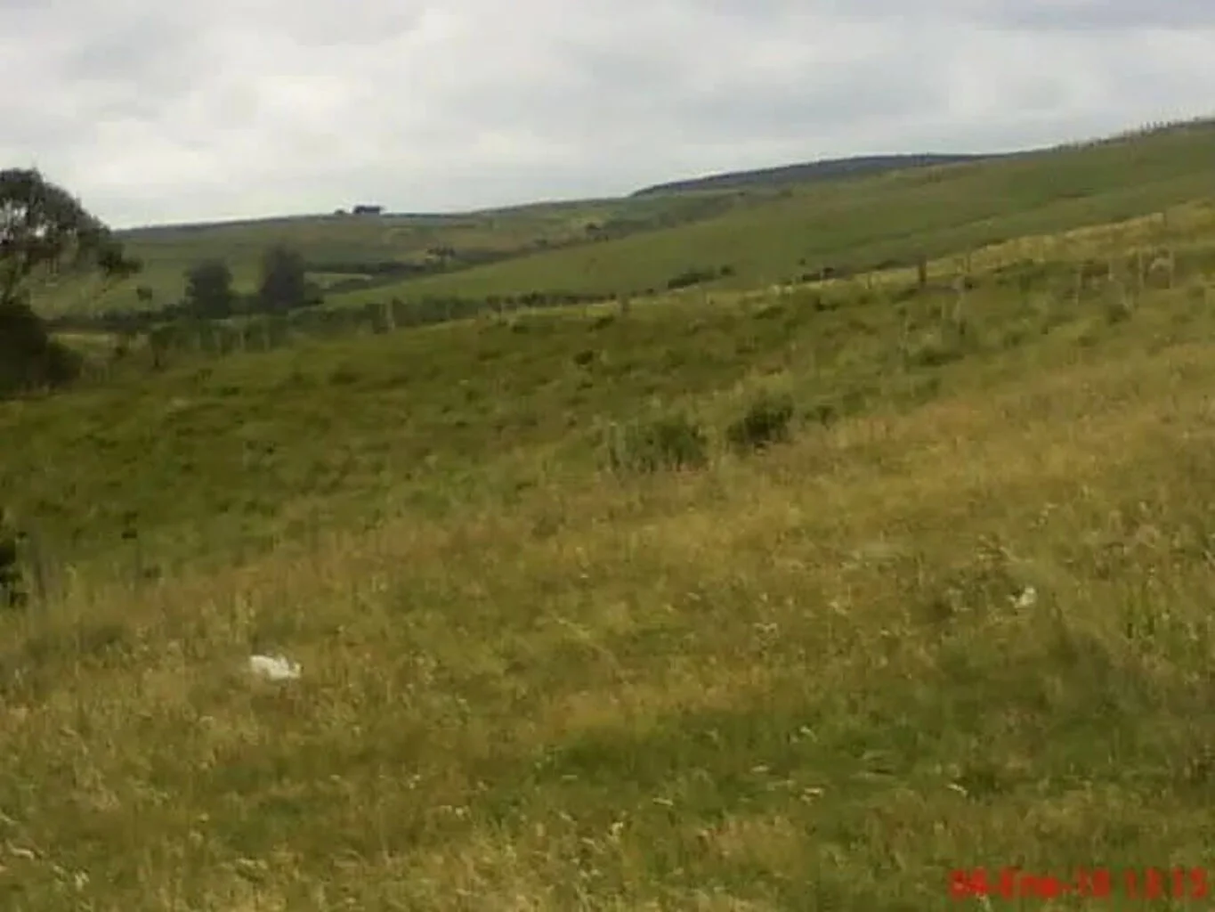 Campo en Castillos, propiedad 263093 -Imagen 20