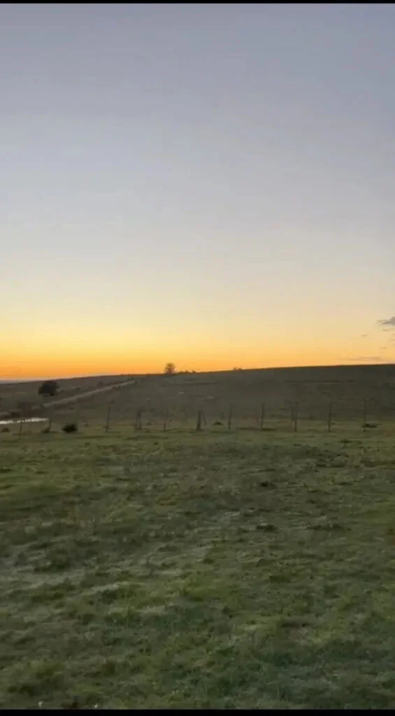 Campo en Castillos, propiedad 263093 -Imagen 5