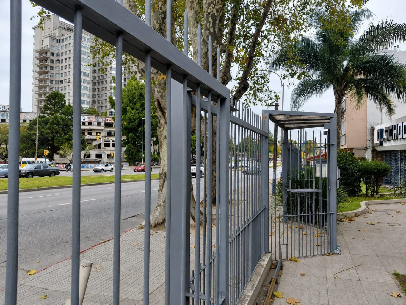 Local en Parque Batlle, propiedad 285582 -Imagen 2