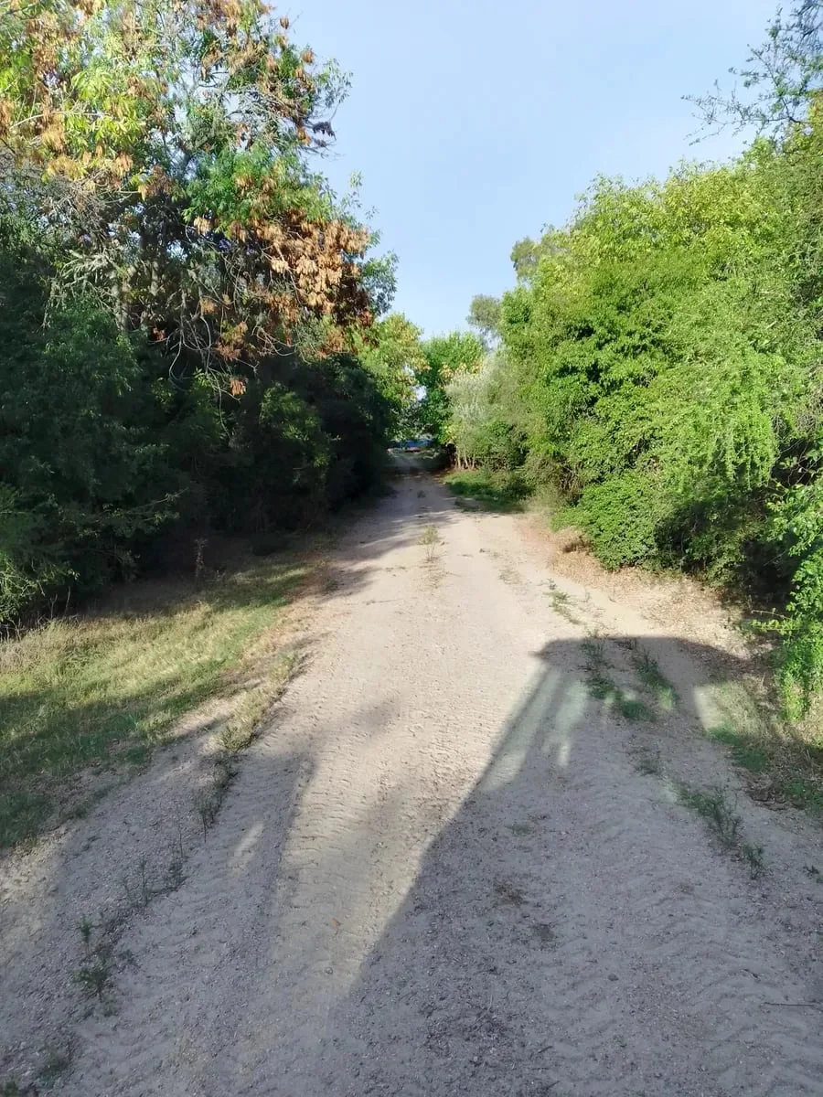 Campo en Los Cerrillos, propiedad 287788 -Imagen 1
