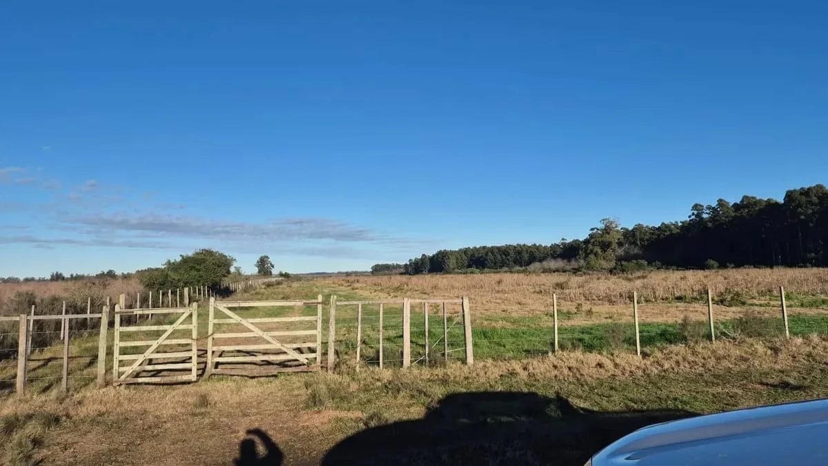 Campo en Los Cerrillos, propiedad 287788 -Imagen 2