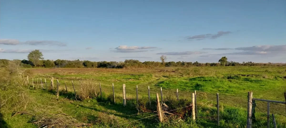 Campo en Los Cerrillos, propiedad 287788 -Imagen 3