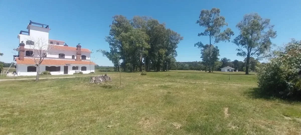 Campo en Los Cerrillos, propiedad 287788 -Imagen 4