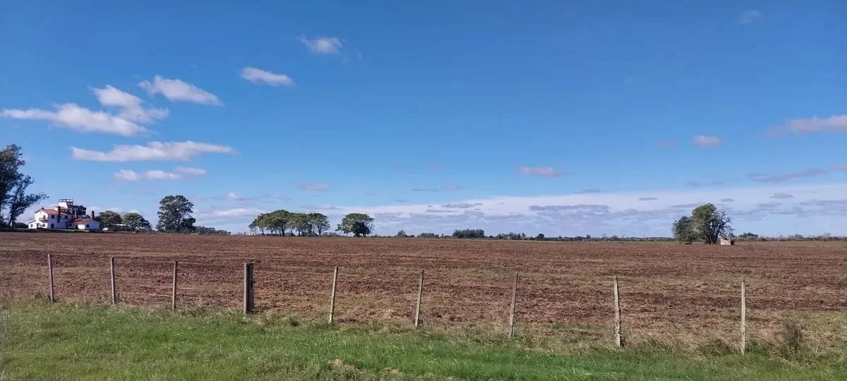 Campo en Los Cerrillos, propiedad 287788 -Imagen 8