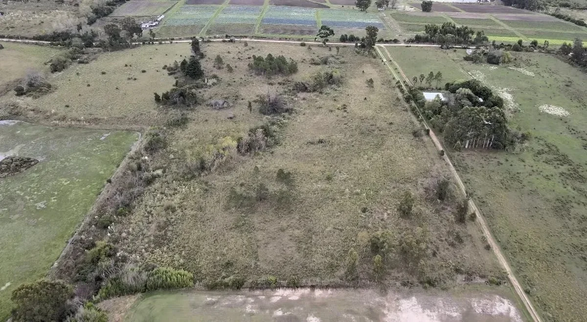 Chacra en Aeropuerto, propiedad 287806 -Imagen 4