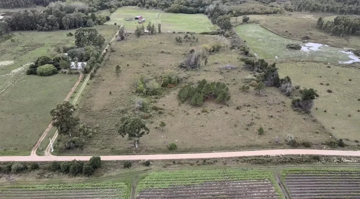 Chacra en Aeropuerto, propiedad 287806 -Imagen 5