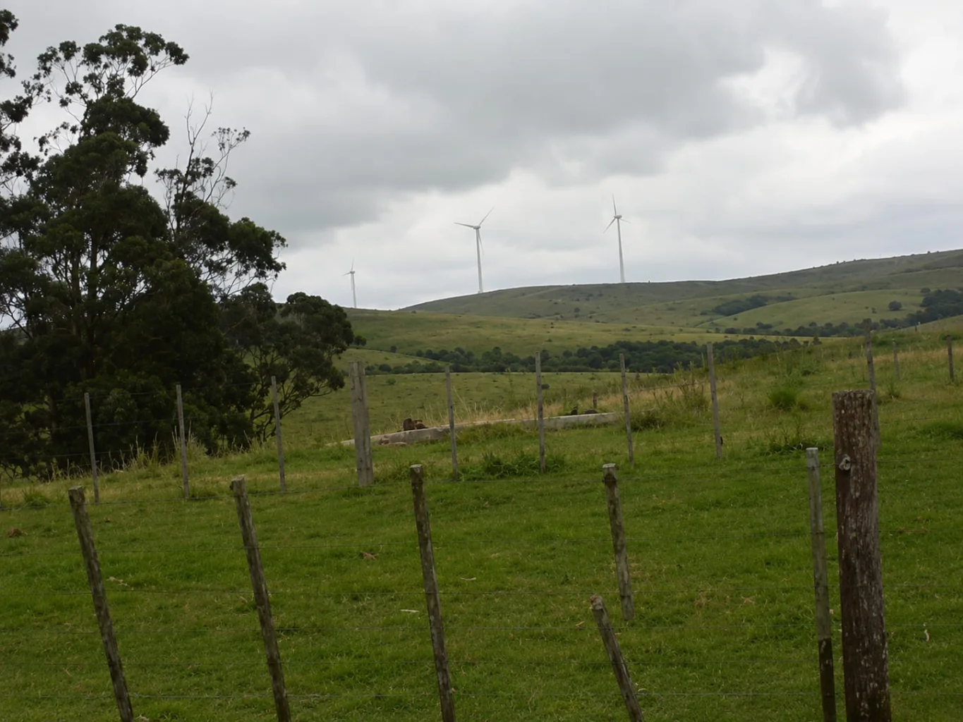 Campo en Arachania, propiedad 291800 -Imagen 16