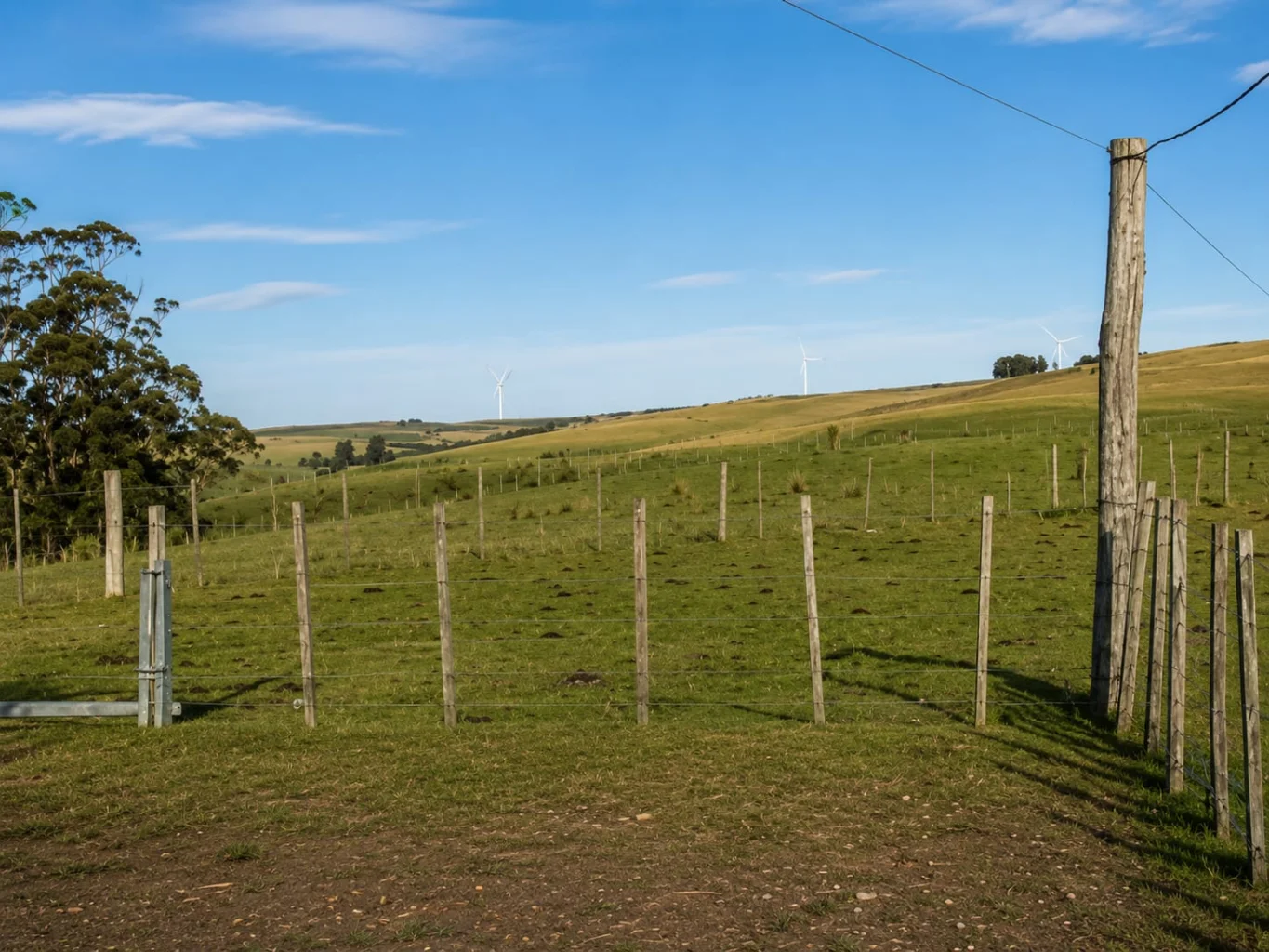 Campo en Arachania, propiedad 291800 -Imagen 17