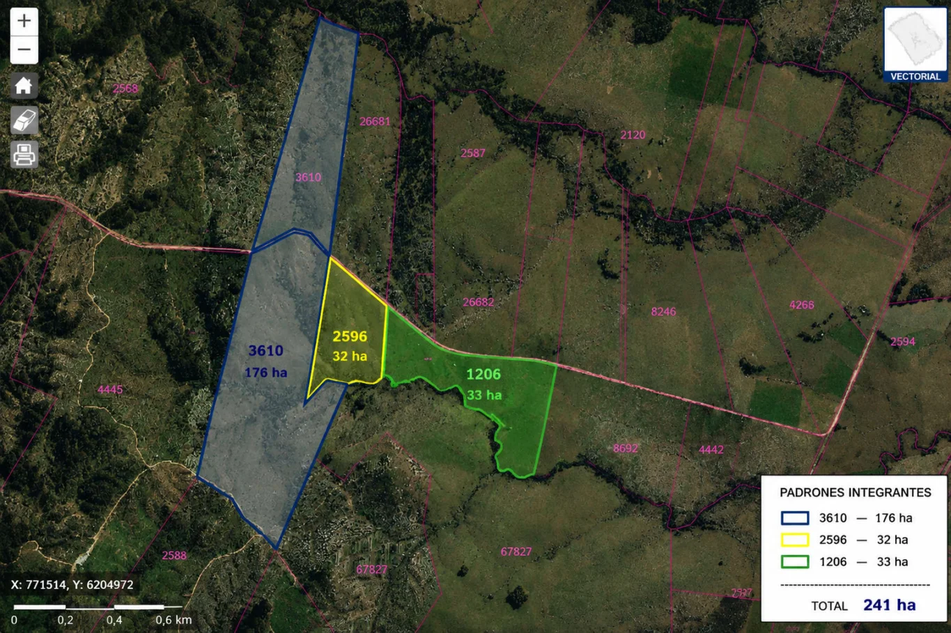 Campo en Arachania, propiedad 291800 -Imagen 19