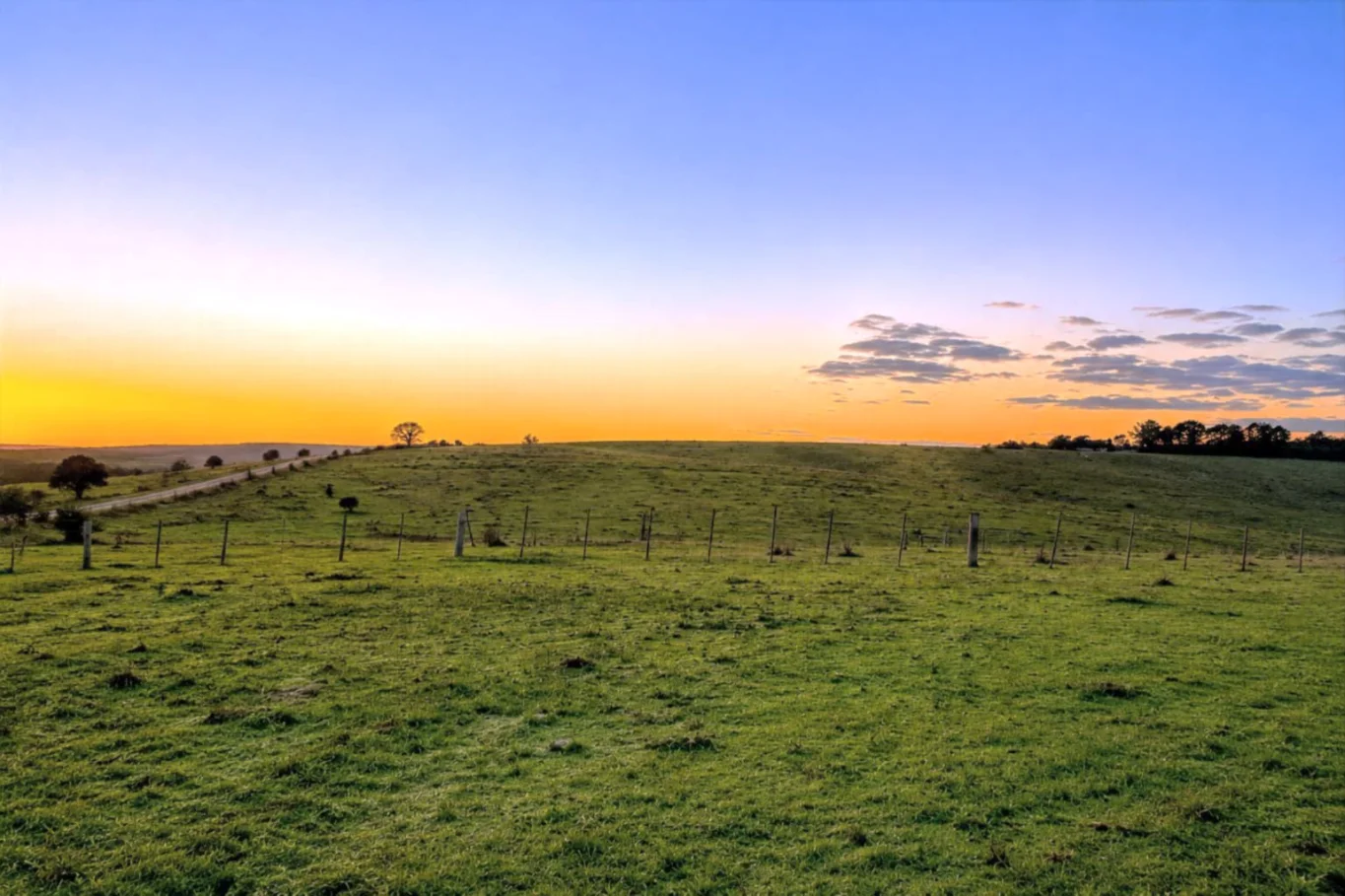 Campo en Arachania, propiedad 291800 -Imagen 8