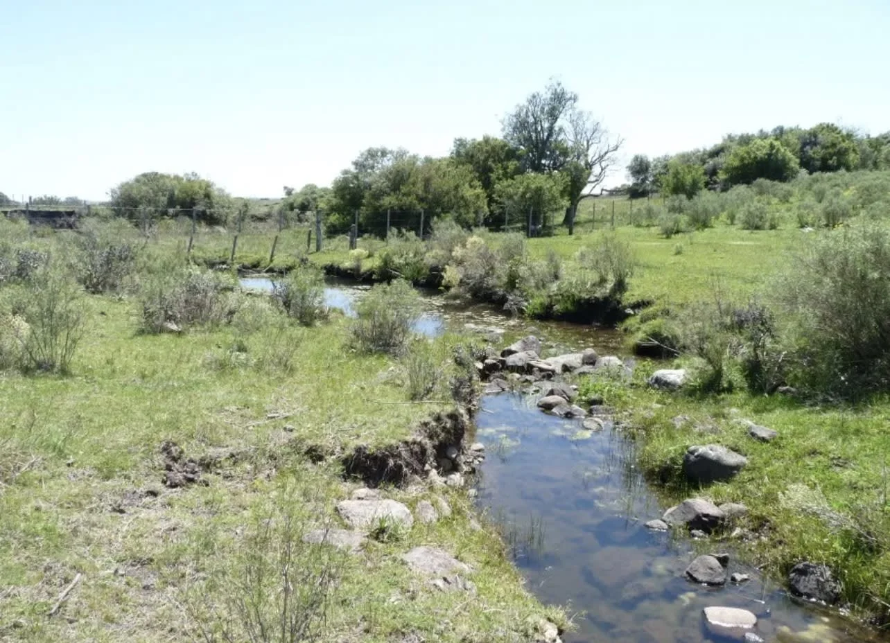 Chacra en Aguas Blancas, propiedad 292885 -Imagen 5