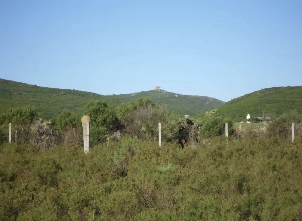 Chacra en Aguas Blancas, propiedad 292885 -Imagen 8