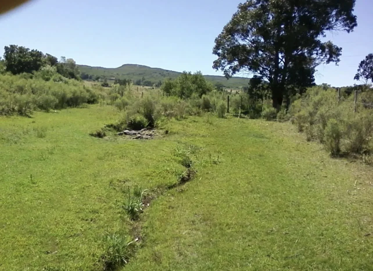 Chacra en Aguas Blancas, propiedad 292885 -Imagen 9