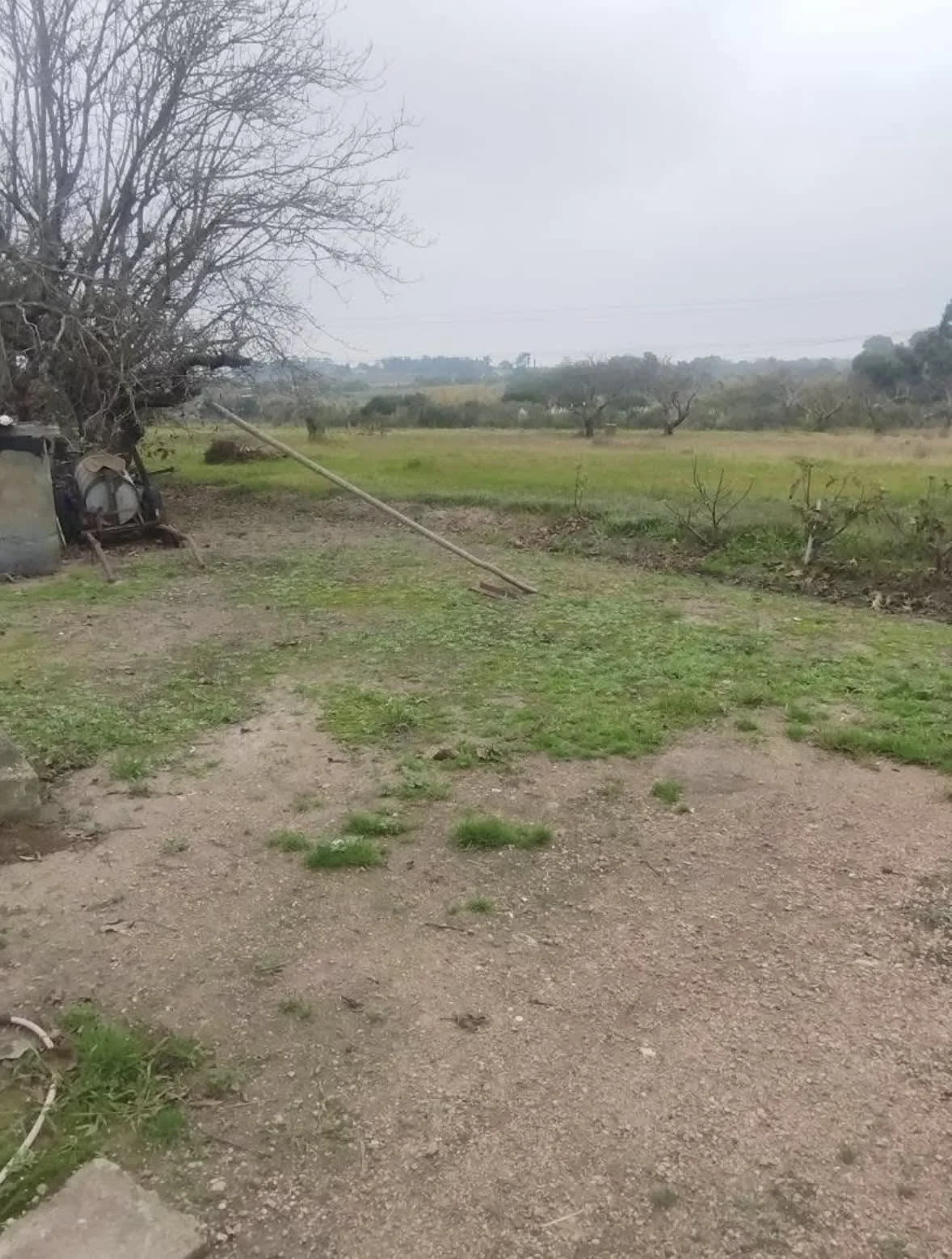 Chacra en Melilla, propiedad 294348 -Imagen 6