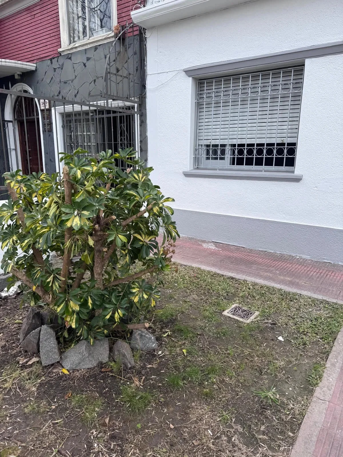 Casa en Buceo, propiedad 296032 -Imagen 8