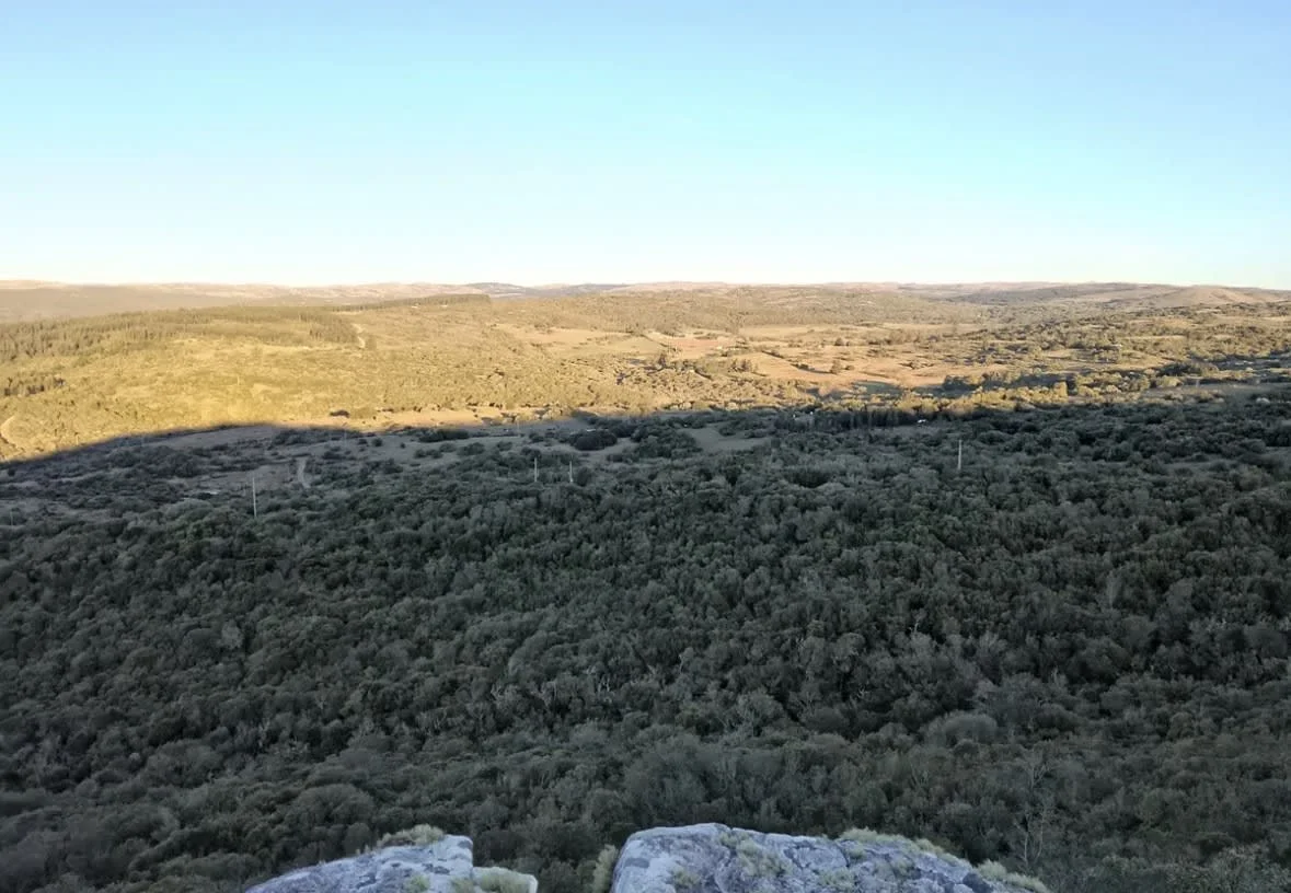Chacra en Aigua, propiedad 297410 -Imagen 4
