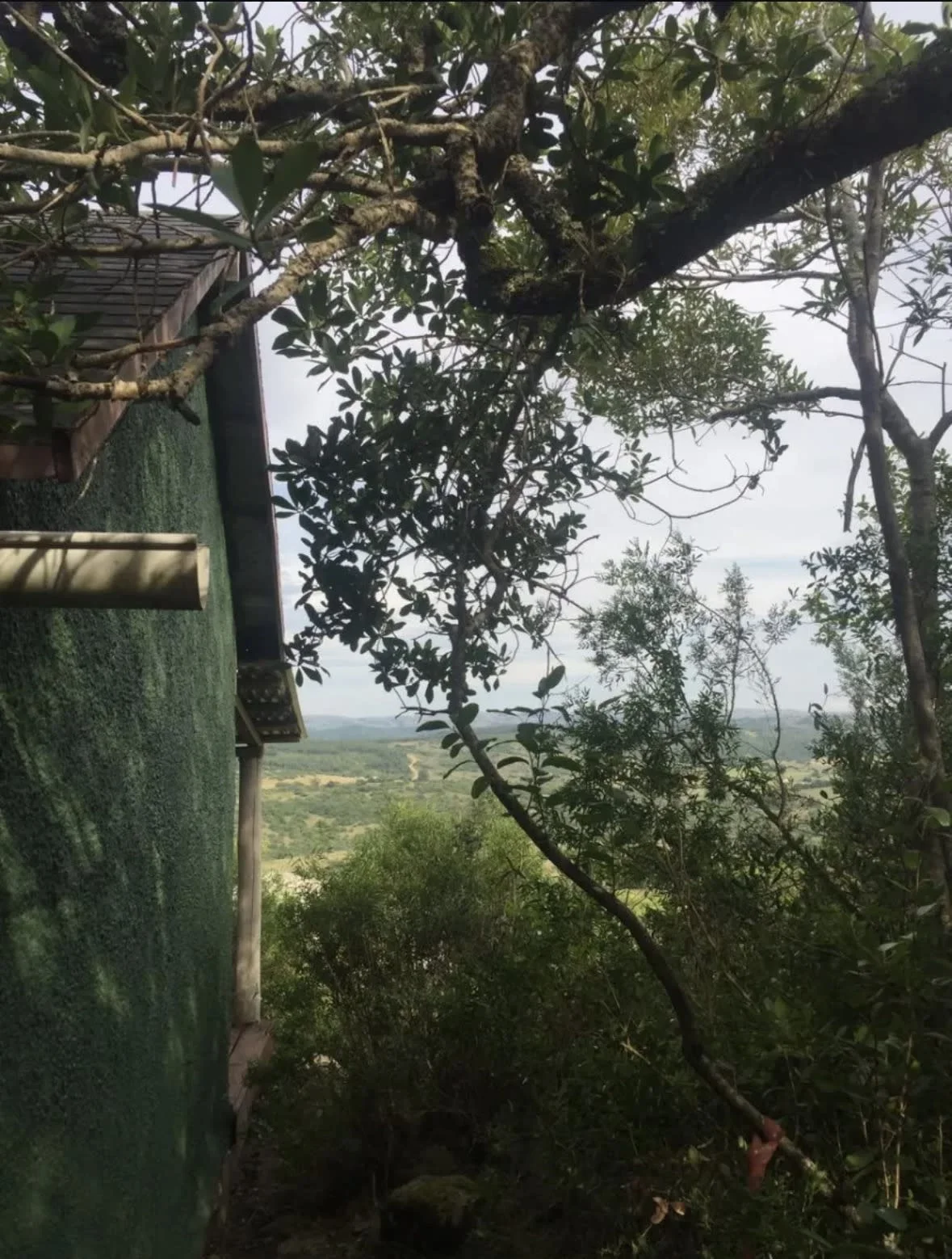 Chacra en Aigua, propiedad 297410 -Imagen 6