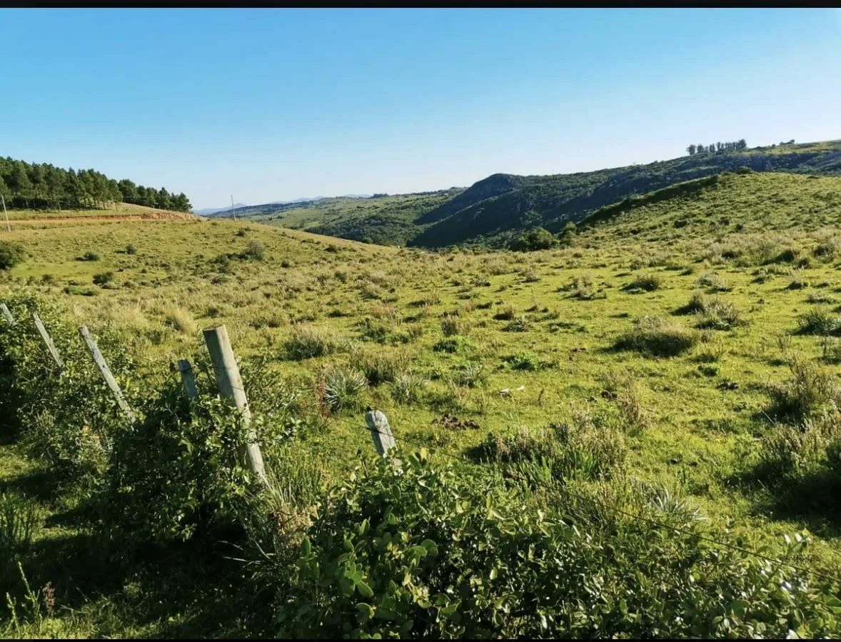 Chacra en Maldonado, propiedad 297811 -Imagen 1