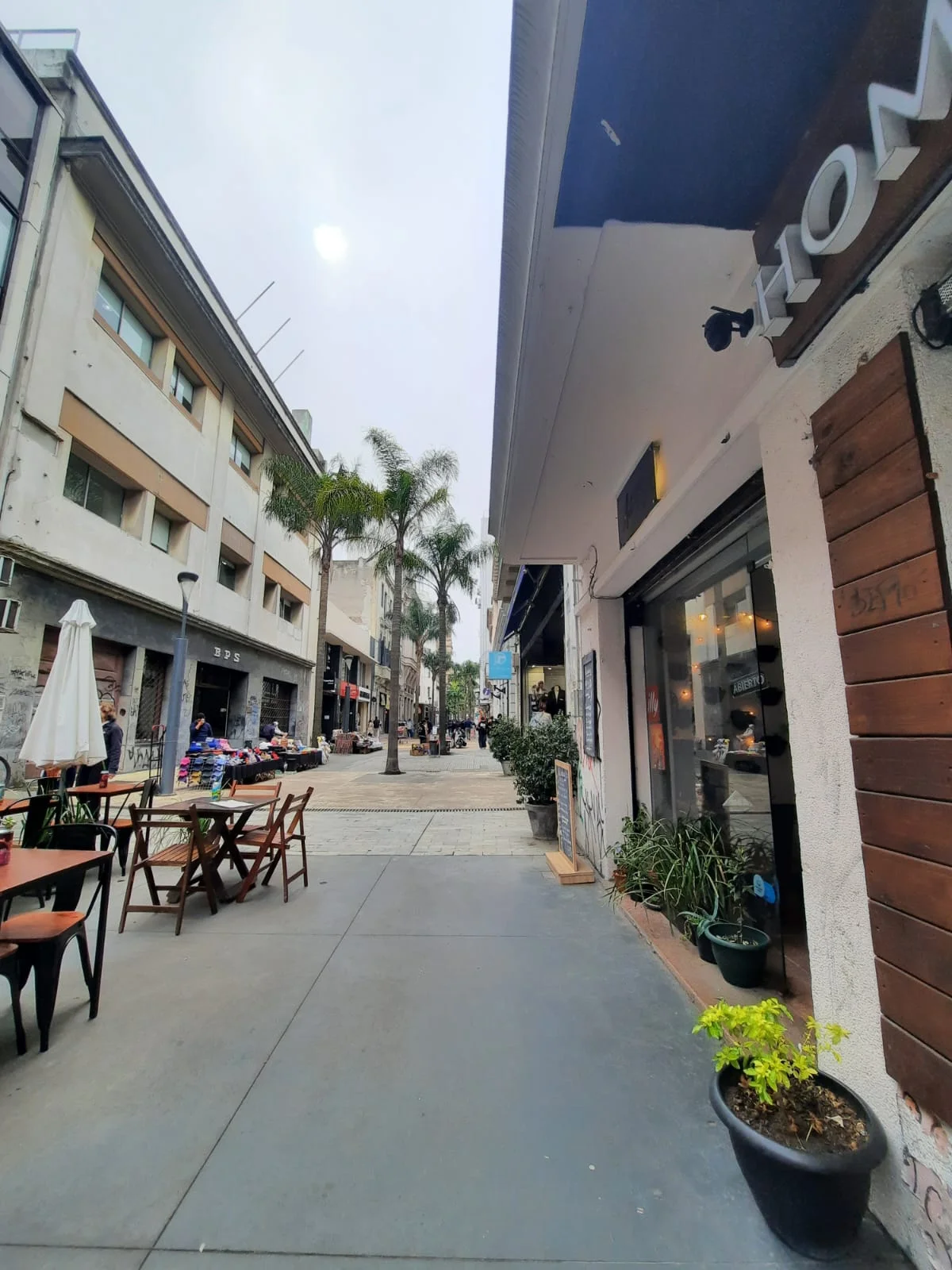 Local en Ciudad Vieja, propiedad 299458 -Imagen 2