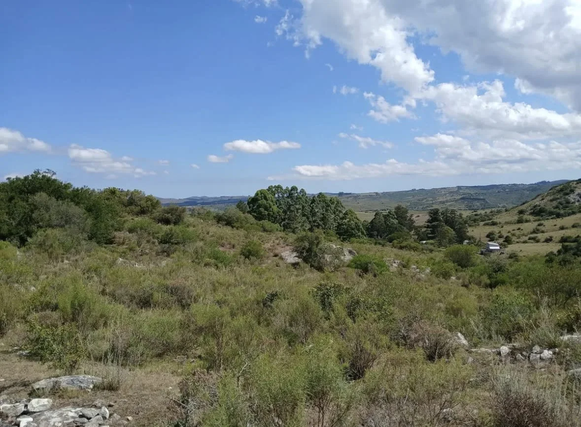 Chacra en Maldonado, propiedad 300586 -Imagen 3