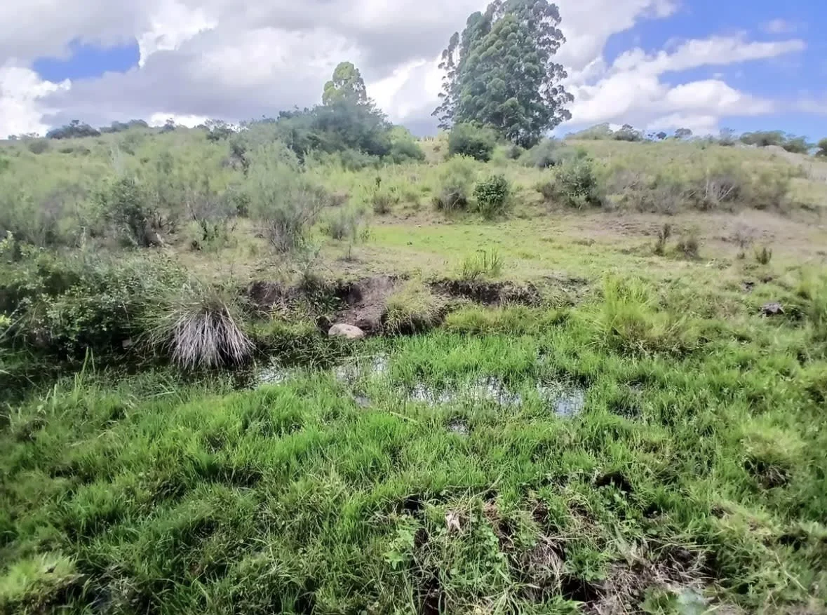 Chacra en Maldonado, propiedad 300586 -Imagen 4