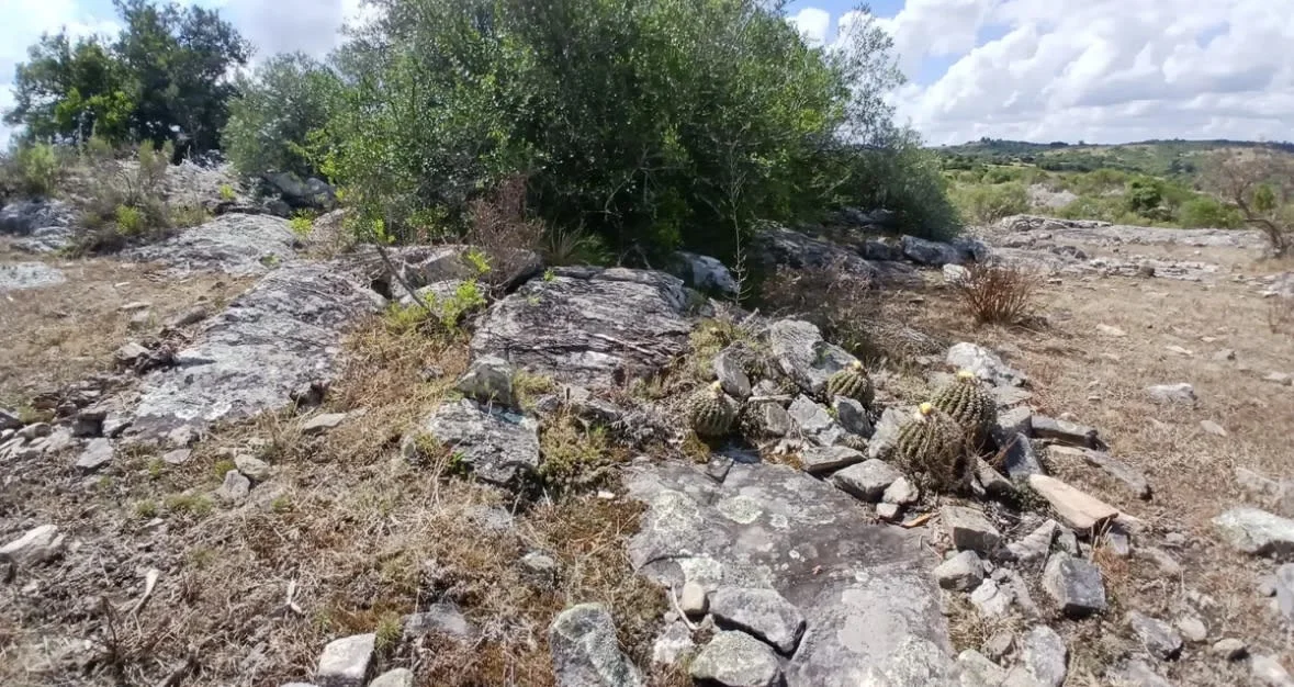 Chacra en Maldonado, propiedad 300586 -Imagen 7