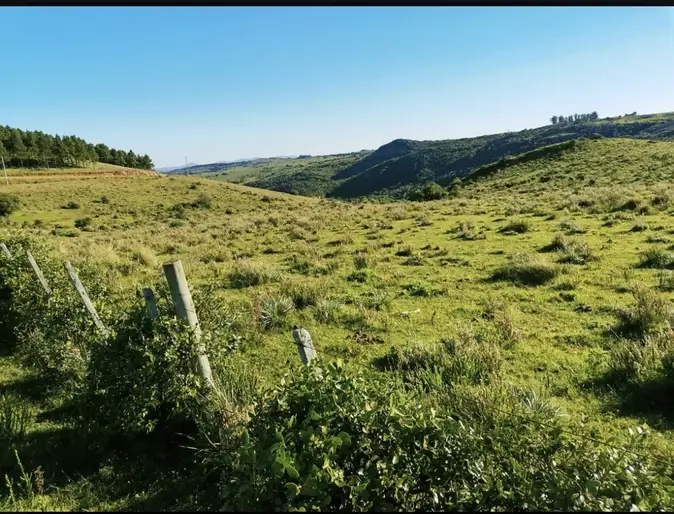 imagen  de la propiedad 297811