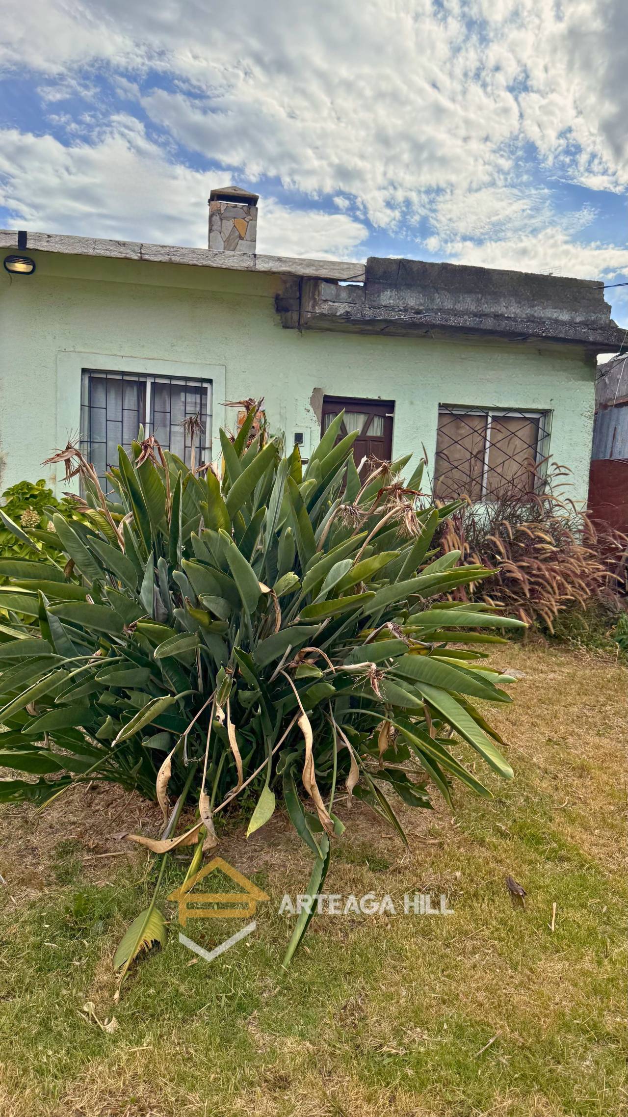 Casa en Jardines del Hipódromo, propiedad 273344 -Imagen 3