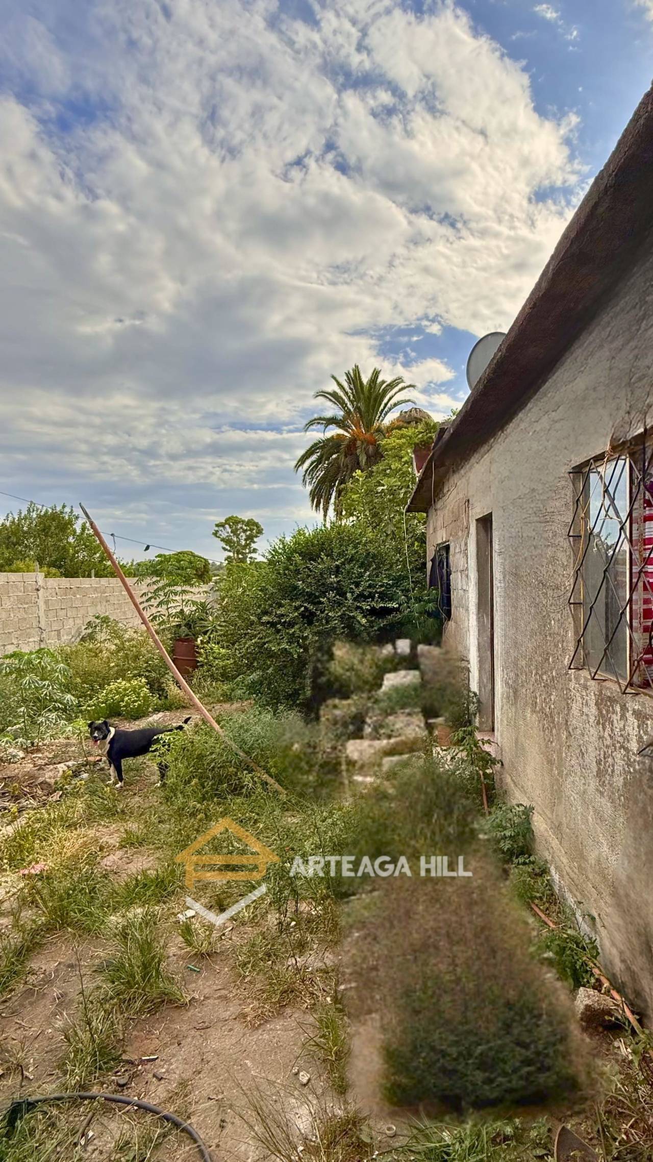 Casa en Jardines del Hipódromo, propiedad 273344 -Imagen 15