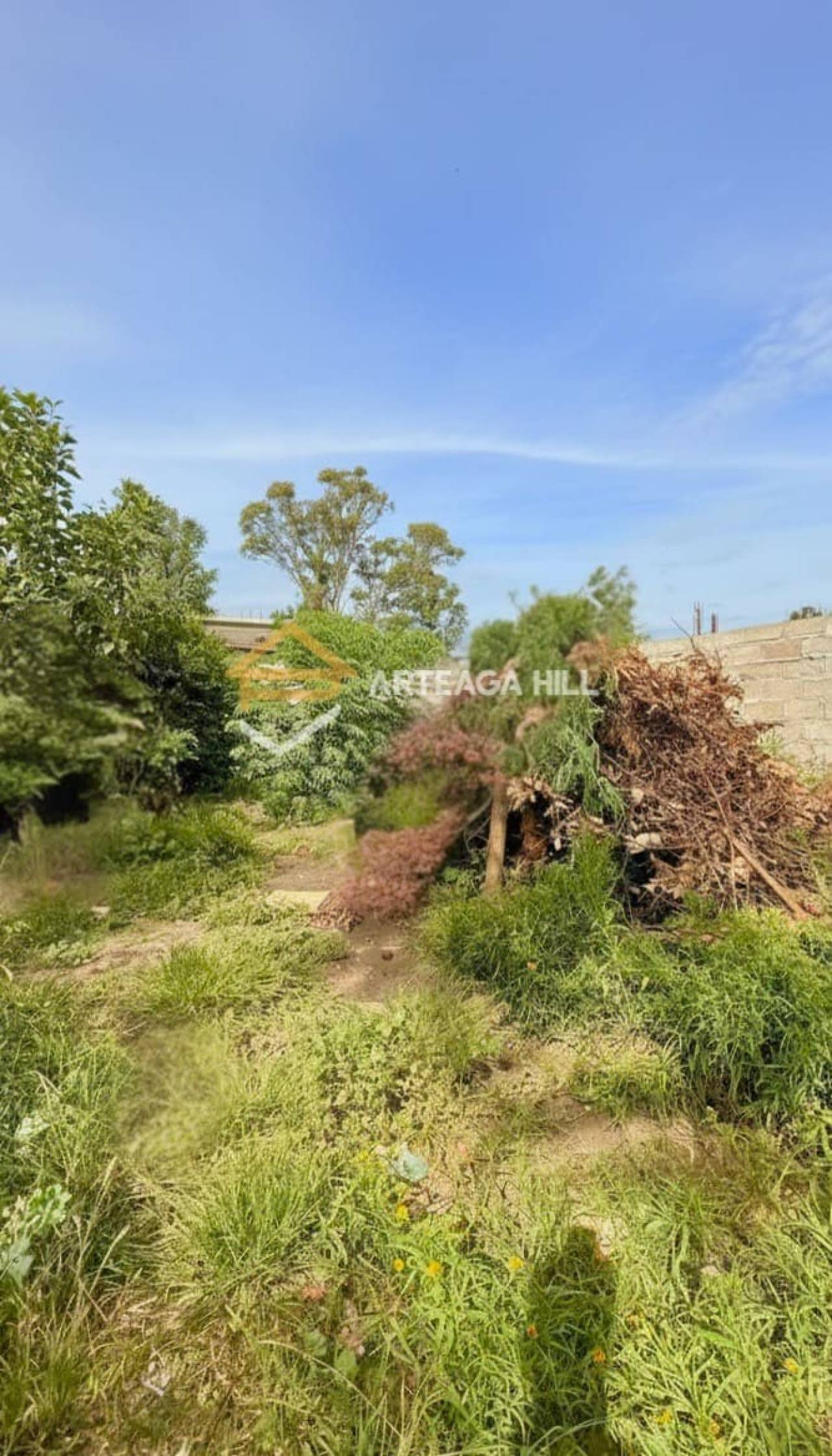 Casa en Jardines del Hipódromo, propiedad 273344 -Imagen 16