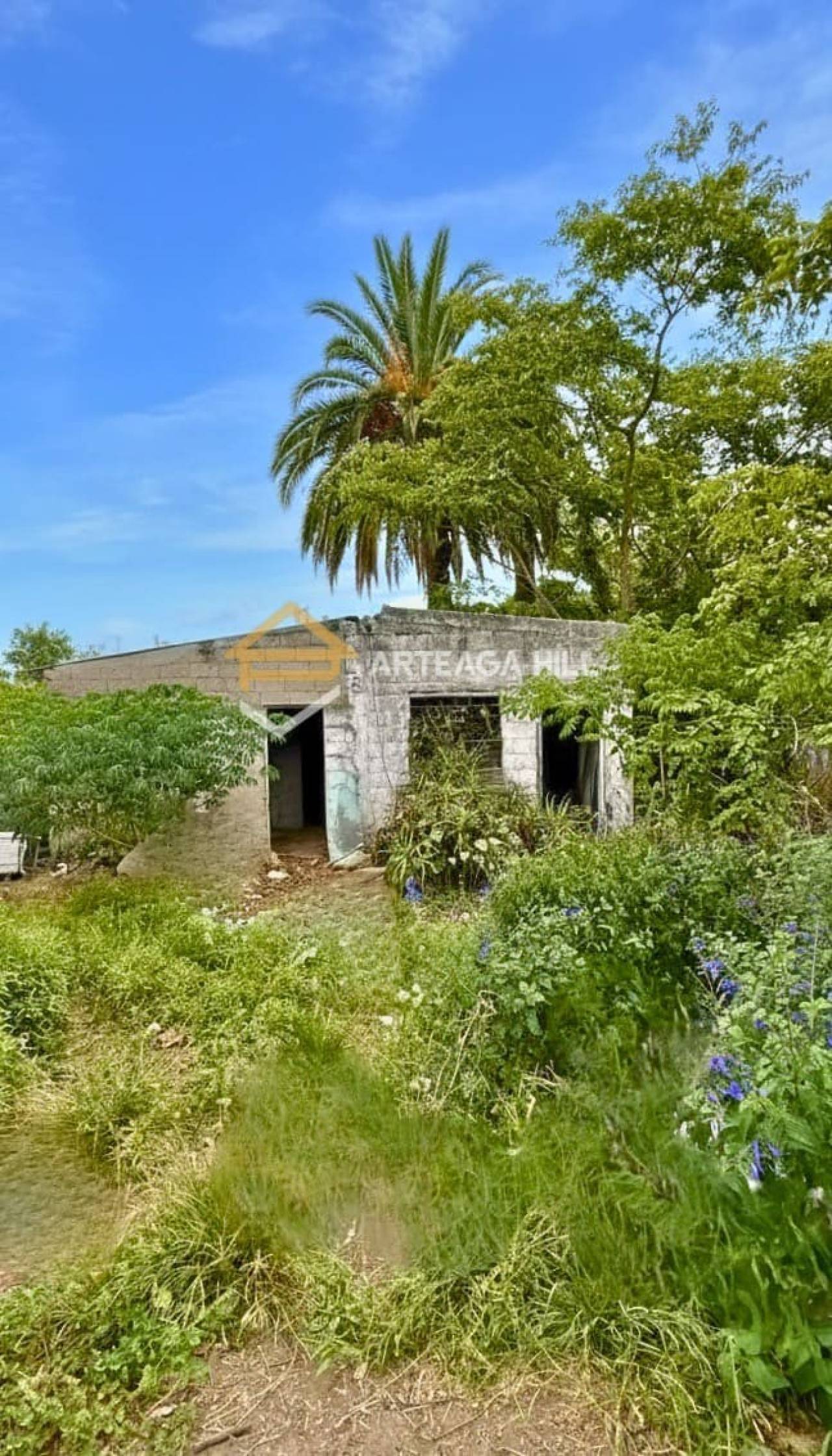 Casa en Jardines del Hipódromo, propiedad 273344 -Imagen 17
