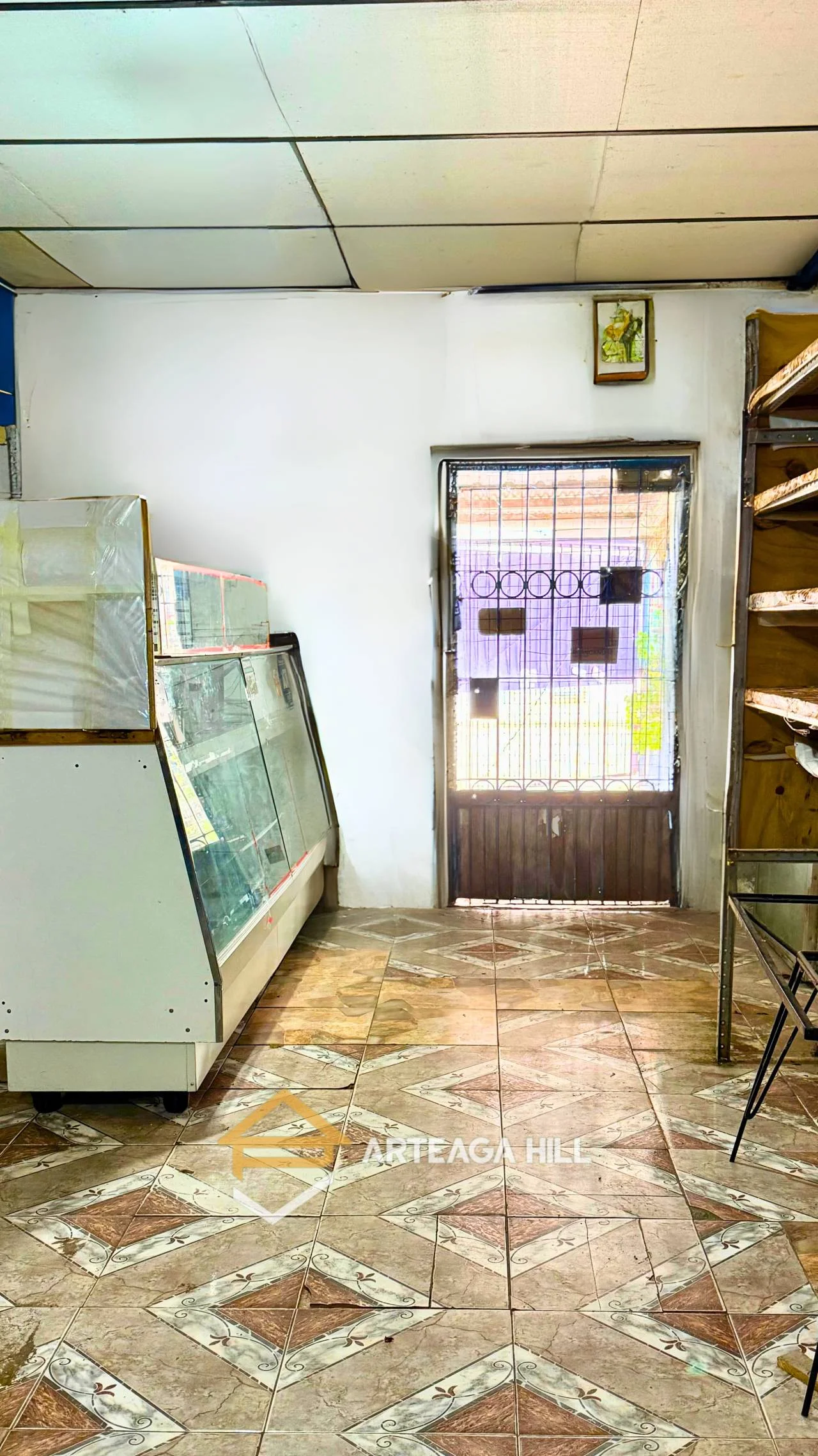 Local en Villa Española, propiedad 285913 -Imagen 8