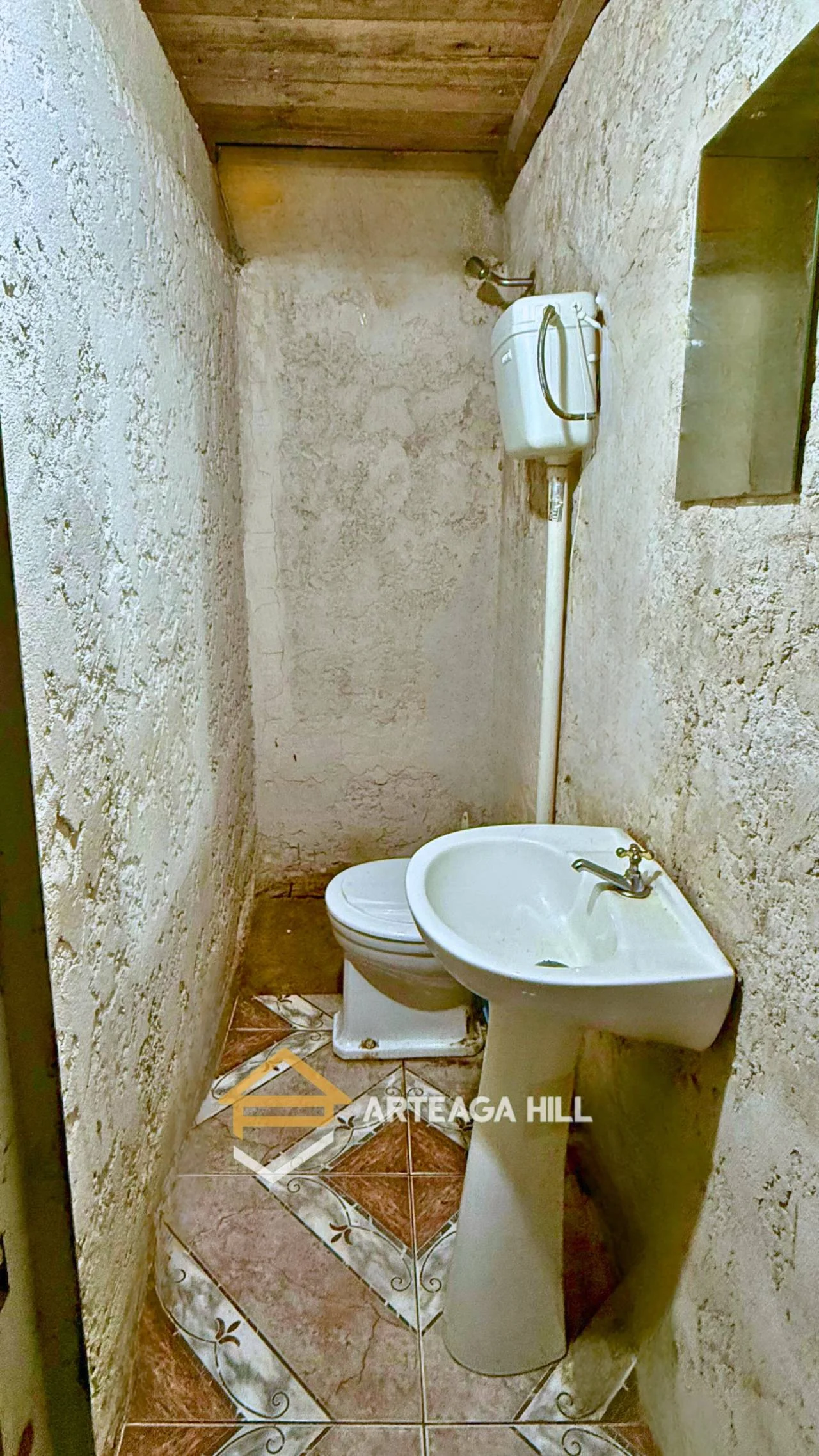 Local en Villa Española, propiedad 285913 -Imagen 10