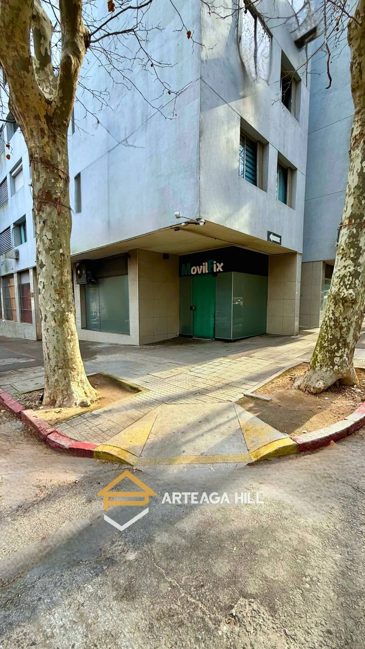 Local en Centro, propiedad 285917 -Imagen 2